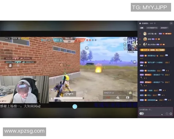 HHG诚c破点：探索新兴市场的机遇与挑战分析