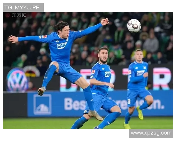 霍芬海姆与汉堡握手言和,久攻不下共绘1-1谜局 霍芬海姆与汉堡握手言和,久攻不下共绘1-1谜局